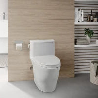 Toilette monopièce allongée Tropic