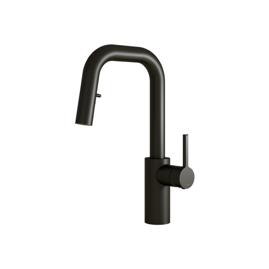 NAO ROBINET CUISINE BAR DOUCHETTE 2 JETS NOIR MAT