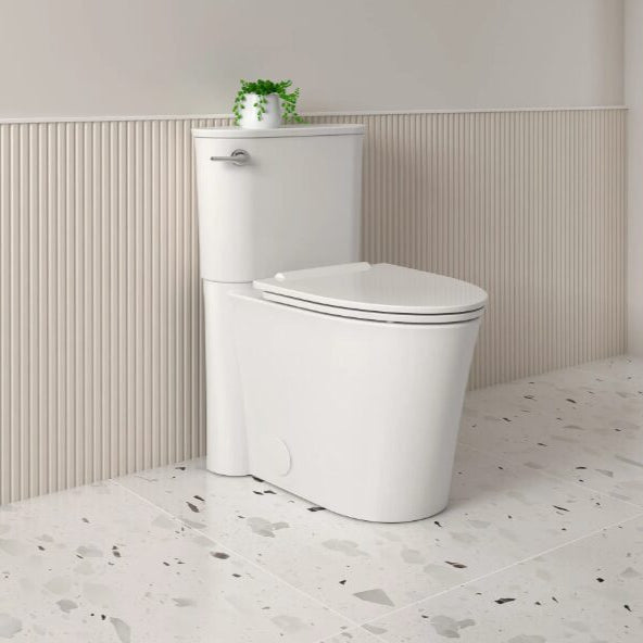 Toilette studio